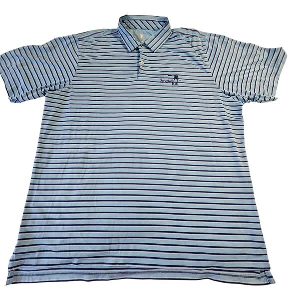 Blue Striped Polo Shirt for Men - Picture 1 of 10